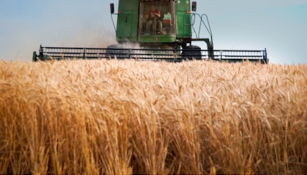 Agribusiness Management: Finance, Marketing, Supply Chain and Sustainability