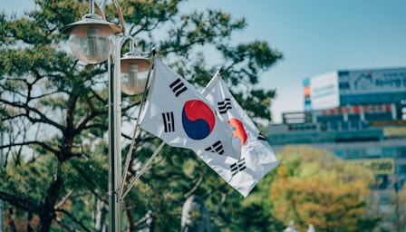 Beginner korean course