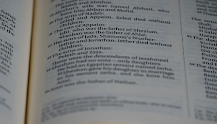 German Grammar
