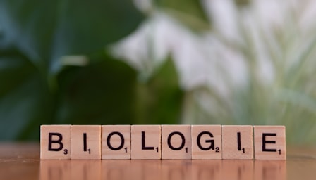 Introduction to Biology