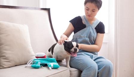 Pet First Aid