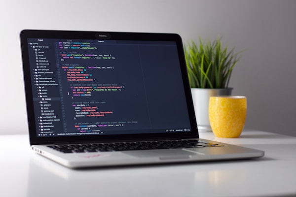 Programming course