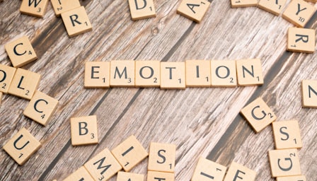 Understanding Emotional Intelligence in Daily Life